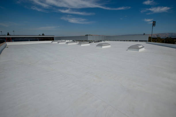 Best Roof Insulation Installation  in Stateburg, SC